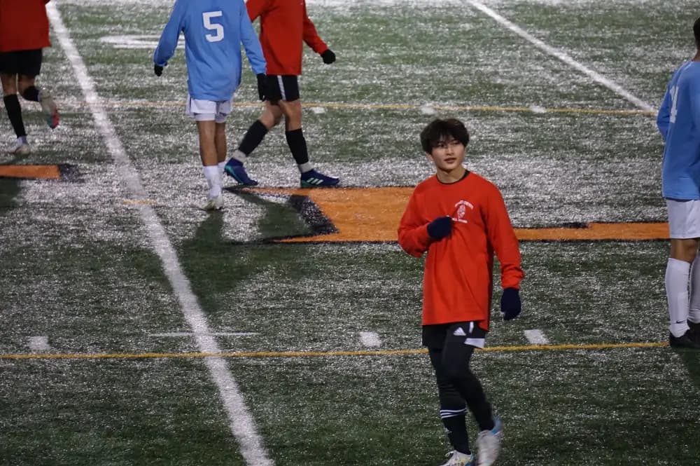 taisei profile image